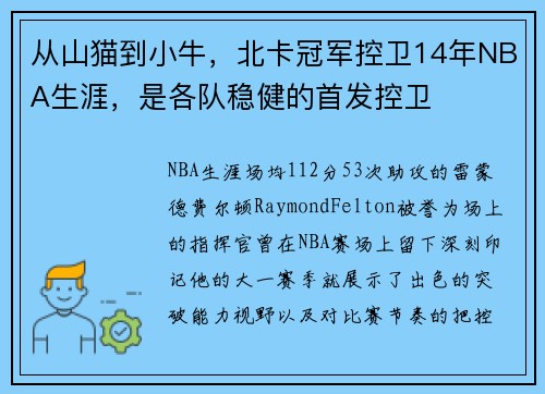 从山猫到小牛，北卡冠军控卫14年NBA生涯，是各队稳健的首发控卫